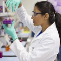 Zapala actualizó datos sobre casos positivos de coronavirus