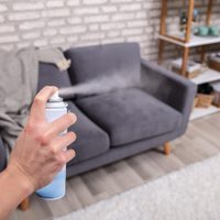 Con 2 ingredientes: eliminá para siempre el olor a humedad de tu hogar con este truco