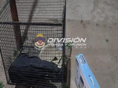 Una pareja demorada por robo en Cutral Co