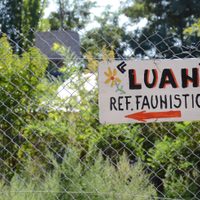 El Refugio Luan cerró sus puertas y trasladan a los últimos animales