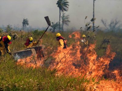 Los incendios forestales en Bolivia devastan la mayor reserva ecológica de la región
