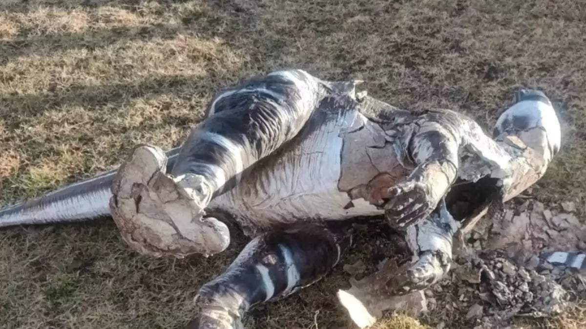 Vandalismo en el Camping de Villa El Chocón. Fuente: (Instagram)