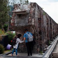Rescate urbano, ecológico y cultural de Avenida Chapultepec