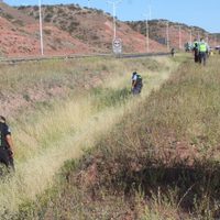 No pudieron encontrar el celular de Rosana Artigas que había sido detectado en Centenario