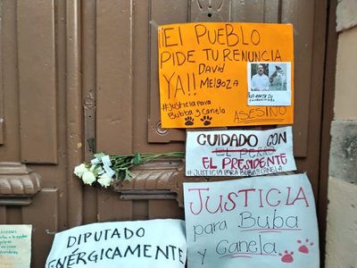 Gobernador de Michoacán sugiere al alcalde que mató a las perras Buba y Canela que pida licencia