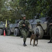 Colombia: 65 disidentes de las antiguas FARC se desmovilizan tras choques con guerrilla del ELN