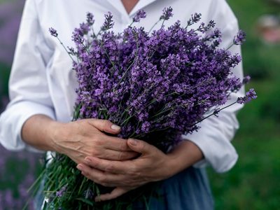 Bendecí tu hogar con este poderoso ritual con Lavanda, que aleja toda la energía negativa