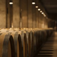 Preocupación entre las bodegas por la Ley seca en algunos municipios