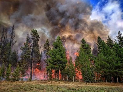 Avanzó la causa del incendio en El Bolsón, que se originó por una imprudencia humana