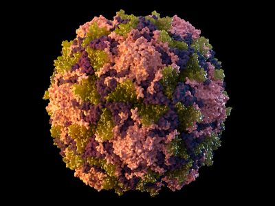 Reportan el primer caso de polio en Estados Unidos en una década