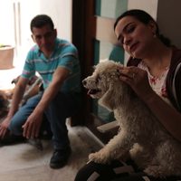 Día Mundial Contra el Bullying: ¿Cómo las mascotas pueden ayudar a combatir el bullying?