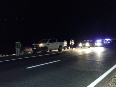 Un animal suelto provocó un accidente cerca de Plaza Huincul