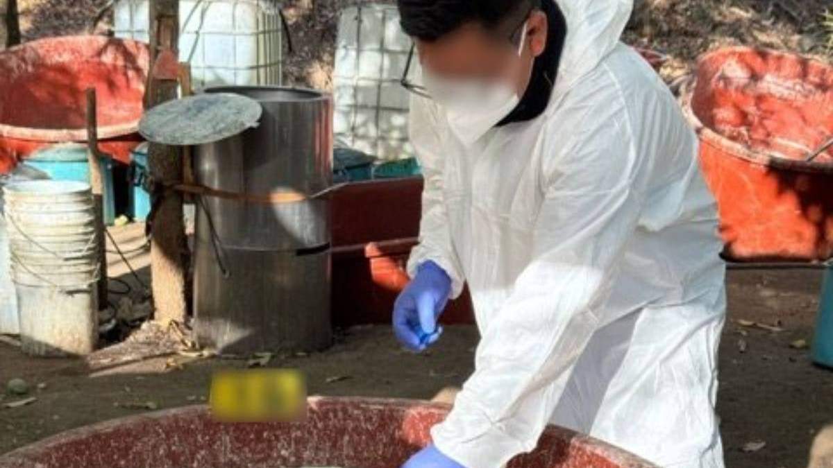 Narco laboratorio asegurado en Sinaloa en una operación conjunta entre una unidad de Investigaciones de Seguridad Nacional del Servicio de Control de Inmigración y Aduanas (ICE, por sus siglas en inglés)
de Estados Unidos y del Gabinete de Seguridad de México