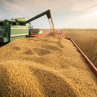 U$S 1.600 millones para 10 grandes exportadoras
