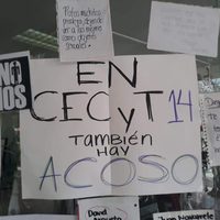 IPN reporta mil 553 denuncias de violencia de género