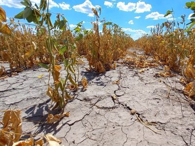 El Gobierno estiró la emergencia agropecuaria para Chaco y Santa Fe