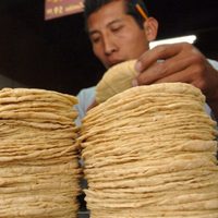 Sheinbaum firma acuerdo para evitar que aumente el precio de la tortilla