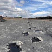 Descubren 200 huellas de dinosaurios de 166 millones de años de antigüedad