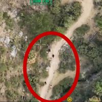 Perciben "olores tóxicos", llaman a emergencias y descubren narcolaboratorio en Hidalgo