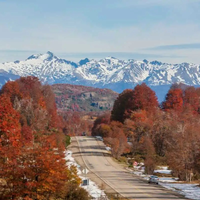 Colores de otoño en la Patagonia: paisajes imperdibles del Alto Valle a la cordillera
