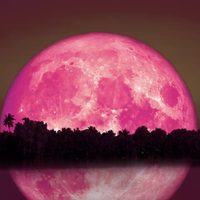 Luna de Fresa: el ritual más poderoso para hacer este viernes si querés que el dinero y el amor nunca falte en tu casa