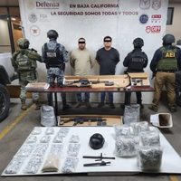 Detienen a “La Piruja”, líder de “Los Rusos” y operador de “La Mayiza” en Baja California