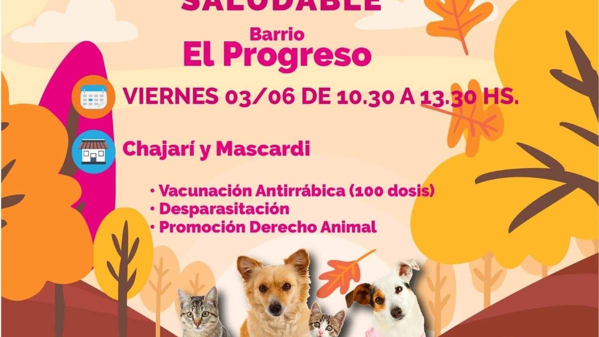 Vacunación gratuita de perros y gatos en el barrio El Peogreso. Fuente: (Subsecretaria de Ciudad Saludable)