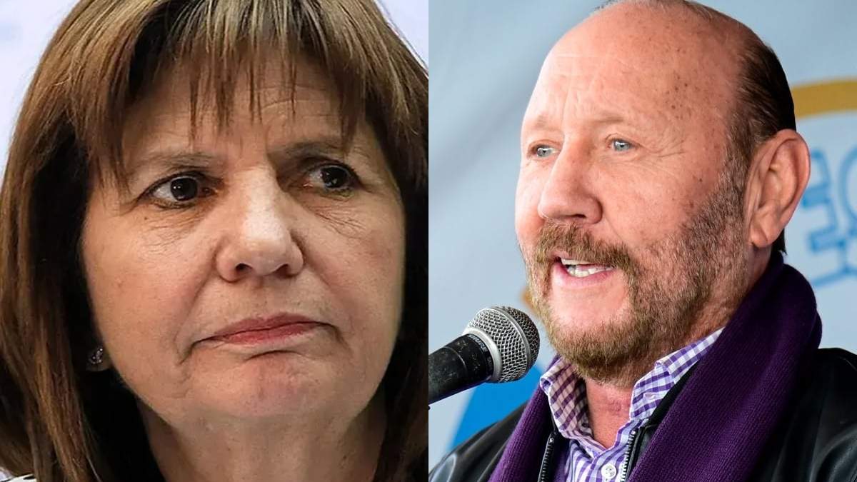 Patricia Bullrich. Fuente: (X)