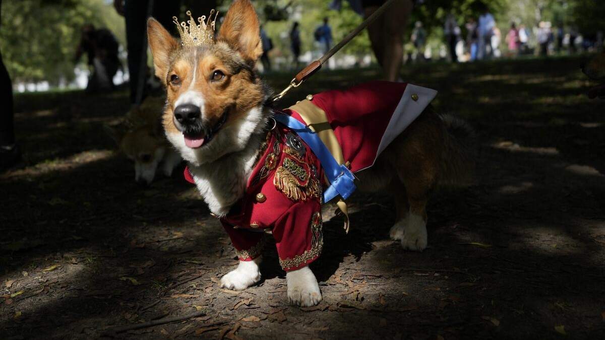 Homenaje a la Reina