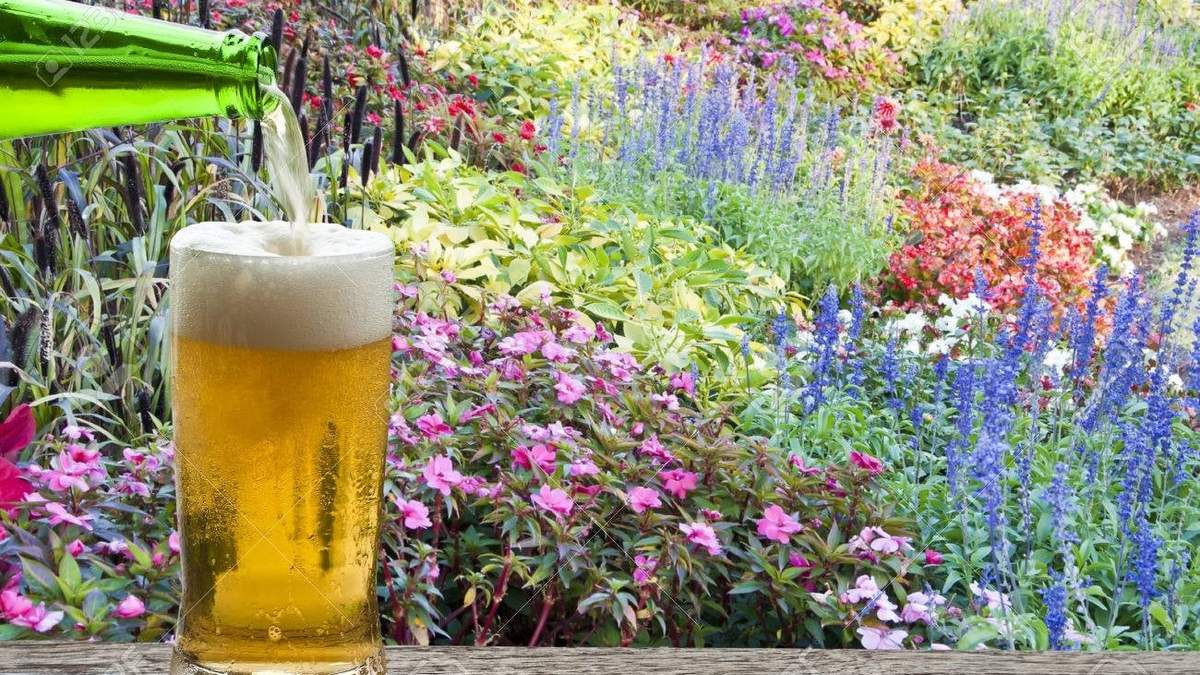 Cómo ayuda la cerveza al jardín. Fuente: (Instagram)