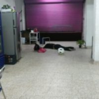 Matan a cinco personas en Salvatierra, Guanajuato, durante la fiesta de la Marquesada