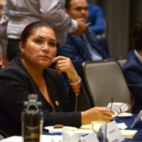 Diputada federal del PES da positivo al Covid-19; ya son tres