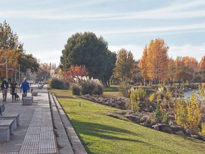 Violento ataque “piraña” cerca del Río Limay terminó con 2 personas heridas