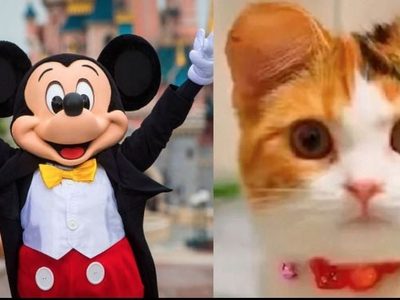 Polémica por operación de orejas a mascotas al estilo Mickey Mouse en China