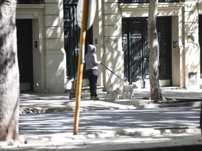 ¡Atención Neuquén! ¿Habrá salidas de esparcimiento?