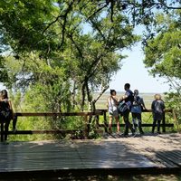 Rincones de naturaleza a pocos kilómetros de Buenos Aires