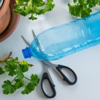 No tires las botellas de plástico y creá esta cápsula de crecimiento rápido para tus plantas