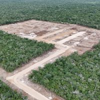Profepa suspende la construcción de granja avícola en Kinchil, Yucatán