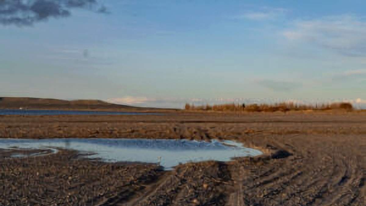 Lago Musters, en el sur de Chubut. Fuente: (Twitter)
