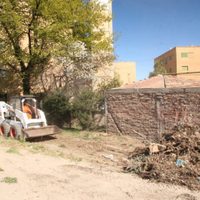 Zapala: fumigación y limpieza en el Barrio Nordeström ante la presencia de roedores