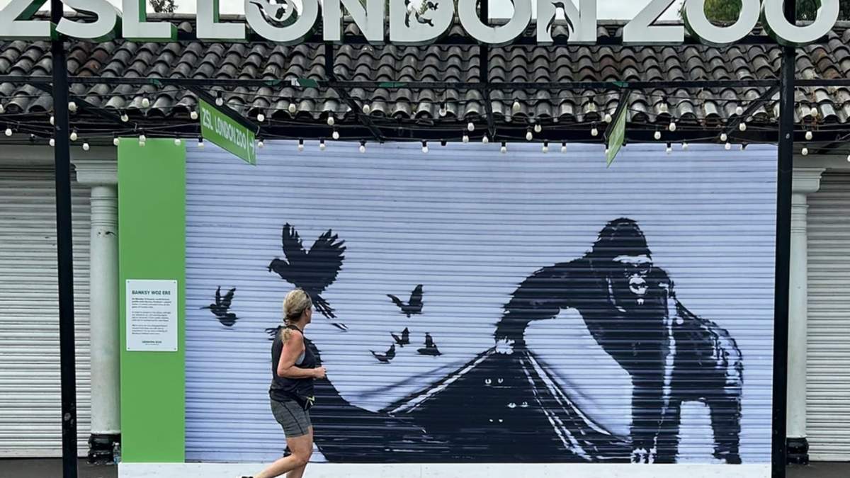Una corredora pasa frente a una reproducción de un mural de Banksy afuera del Zoológico de Londres