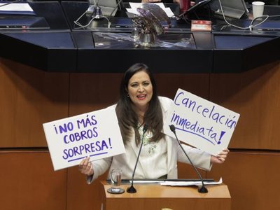 El Senado aprueba en fast track la reforma que regula las suscripciones digitales