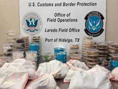 Incautan más de 160 reptiles y artrópodos a conductor en puente fronterizo Anzaldúas a Reynosa