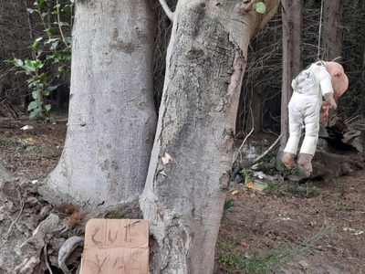 Amenaza macabra: denunció un basurero clandestino y colgaron un muñeco a un árbol para intimidarla