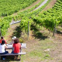 El Enoturismo en La Rioja, España, da muestras de optimismo