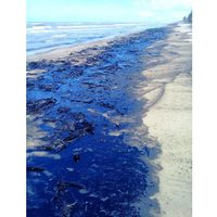Cierran playas de Paraíso, Tabasco, por manchas de hidrocarburo