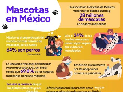 Tips a considerar antes de contratar un seguro de mascotas
