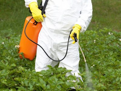 La prohibición del uso del glifosato, golpe mortal para el sector agrícola mexicano: UMFFAAC