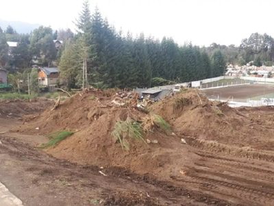 Iniciaron en Villa La Angostura el plan de reforestación con variedades autóctonas