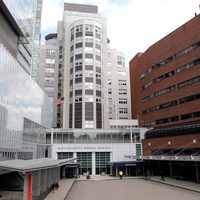 Realizan primer trasplante de pene en EU